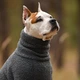 Одежда Noble Pet Hunter Grey - комбинезон для собак L (T4145/L) - изображение 7