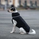 Одяг Noble Pet Bobby Black - пуховик для собак 7XL (B4141/7XL) - зображення 7