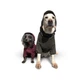 Одежда Noble Pet Travis Khaki - комбинезон для собак L (T4123/L) - изображение 4
