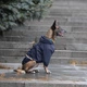 Одяг Noble Pet Moss Blue - дощовик для собак 2XL (M4106/2XL) - зображення 4