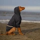 Одежда Noble Pet Moss Blue - дождевик для собак L (M4106/L) - изображение 5