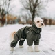 Одежда Noble Pet Travis Khaki - комбинезон для собак L (T4123/L) - изображение 6