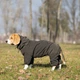 Одежда Noble Pet Travis Khaki - комбинезон для собак 2XL (T4123/2XL) - изображение 9