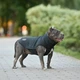 Одежда Noble Pet Softshell Ostin Navy Жилет для собак L (O4143/L) - изображение 7