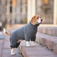 Одежда Noble Pet Hunter Grey - комбинезон для собак M (T4145/M) - изображение 8