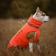 Одежда Noble Pet Bobby Orange – пуховик для собак L (B4140/L) - изображение 2