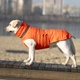 Одежда Noble Pet Bobby Orange – пуховик для собак L (B4140/L) - изображение 13