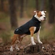 Одежда Noble Pet Softshell Ostin Navy Жилет для собак 6XL (O4143/6XL) - изображение 6