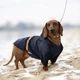 Одежда Noble Pet Moss Long Blue - дождевик для такс и корги XL (M4106/XL-Long) - изображение 6