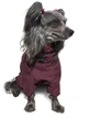Одежда Noble Pet Travis Grayish Red - комбинезон для собак 4XL (T4124/4XL) - изображение 2