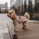 Одежда Noble Pet Rio Sand – дождевик для собак 2XL (R4135/2XL) - изображение 5