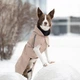 Одежда Noble Pet Rio Sand – дождевик для собак 2XL (R4135/2XL) - изображение 8