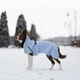 Одежда Noble Pet Rio Light Blue – дождевик для собак 7XL (R4137/7XL) - изображение 3