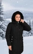 Куртка женская No Brand П1083 зимняя черная размер L - изображение 1
