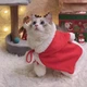 Костюм новогодний Санта для животных Размер L Podarkus DK040-L - изображение 4