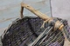 Корзина плетеная пасхальная с ручкой серый меланж 35х46х19см - изображение 5