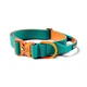 Облегченный тактический ошейник с ручкой для собак BullyBillows Lighter Combat Collar Handle 4 cm M: 40 мм, ОШ 43-58 см Бирюзовый - изображение 1
