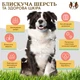Витаминный комплекс для кожи и шерсти собак Skin&Coat Natural Dog Company 90шт в банке - изображение 2