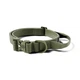 Тактичний нашийник для цуценят та міні собак з полегшеним замком BullyBillows Lighter Combat Collar Handle 2.5 cm XS-M: 25 мм, ОШ 34-46 см Зелений - зображення 1