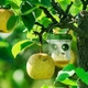 Ловушка для насекомых на солнечной батарее 2 в 1 - изображение 8