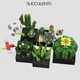 Конструктор Jie Star Botanical Collection Суккуленты Кактус Цветы в горшке 590 дет Разноцветный (28230) - изображение 3