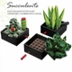 Конструктор Jie Star Botanical Collection Суккуленты Кактус Цветы в горшке 590 дет Разноцветный (28230) - изображение 4