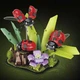 Конструктор Квіти і комахи Сонечко Сонечко Insect Collection 3D 741 дит Різноцвіт (28189) - зображення 2