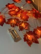 Гирлянда осенняя с кленовыми листьями, 3 м, 20 LED лампочек, на батарейках 2×AA - изображение 7