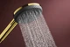 Ручной душ Hansgrohe Raindance Alive Select S EcoSmart polished gold optic 24511990 - изображение 4