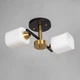 Потолочная люстра 2 плафона черная/латунь, белое матовое стекло под обычную лампочку Е27 Sneha (9953118627/2) - изображение 1