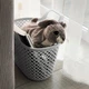 Корзинка для хранения универсальная MBM HOME FH-08 GRAY пластиковая серая - изображение 3
