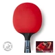 Ракетка для настольного тенниса Butterfly Timo Boll Progress FL (6110200002) - изображение 2