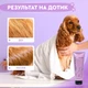Шампунь ензимный ProbioDay Enzyme для собак и для котов универсальный для гигиены животных с пробиотиками 250 мл 000139 - изображение 4