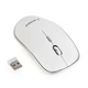 Мышь Gembird MUSW-4B-01 беспроводная, White, dpi:1600, USB, 2xAAА (MUSW-4B-01-W) - изображение 1