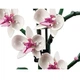 Конструктор Icons Орхідея Botanical сумісний блочний 608 деталей ботанікал - зображення 5