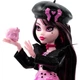 Кукла Monster High Fearbook Дракулаура Книга страха Mattel (HXW30) - изображение 5