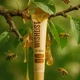 Бальзам-блиск для губ BLESSED HONEY WiSHLiST LIP GLOSS BALM, 10 мл - зображення 7