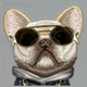 Панель Nimmy Glasses Cool Dog для Apple iPhone 16 Grey (6971080319303) - зображення 9