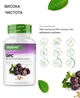 OPC 700 мг Vit4ever - 300 капсул - зображення 2