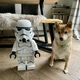 Фігурка Star Wars штурмовик. Aivory - зображення 3