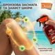 Спрей для интенсивного загара с ароматом кокоса Delice Sun Aqua Fresh Bronze Tanning water with Carotene, Aloe Vera and Green Tea 500ml - изображение 5