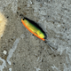 Блесна Кастмастер CONDOR FISHING Chimera ASP 7гр 40мм #AB012 (24007_7_AB012) - изображение 2