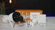 IP відеокамера Imou Bullet 3 (IPC-S3EP-3M0WE) 3МП (2.8мм) Wi-Fi - зображення 7