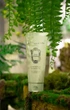 Крем для душу "Зелений чай та імбирь" La Sultane de Saba Shower Cream Ginger Green Tea Fragrance 200 мл - изображение 2