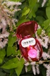 Станок для гоління Venus Snap Extra Smooth (1касета) - зображення 3
