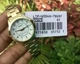 Женские часы CASIO LTP-V004G-7B - изображение 3