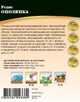 Редиска Ополянка 20г WoS - зображення 2
