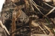 Сидіння для катера Low Back Bucket REALTREE MAX 5 камуфляжне складне 440х400 мм (75126Max5) - зображення 7