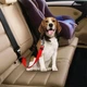 Ремінь безпеки для собак в авто DogCarBelt, червоний - зображення 3
