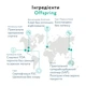 Підгузки Offspring трусики Розмір XXL (15-23 кг) 24 шт., Підводний світ (9355465009077) (DP-OI-FAP-XXL24P-AQT) - зображення 5